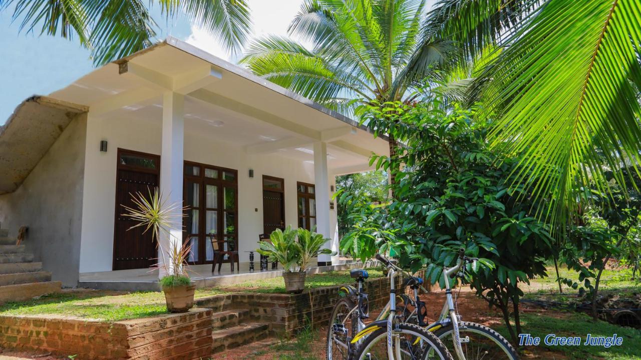 The Green Jungle Dambulla Exterior photo